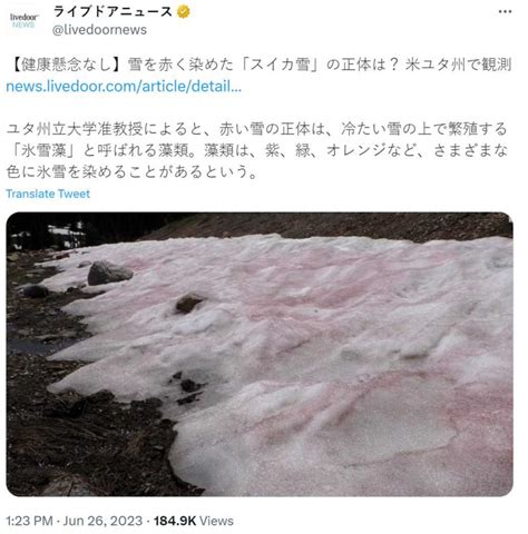 美日山區出現「粉紅海鹽」 雪藻已成為氣候變遷指標 國際 Ctwant