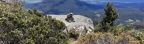 Projection Bluff Tasmania Australia 144 Reviews Map Alltrails