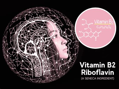 How Does Riboflavin Vitamin B2 Function In The Body Intelligent Labs