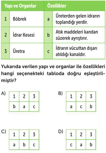 Bo Alt M Sistemi Test Z S N F Fen Bilimleri Testleri Yeni Nesil