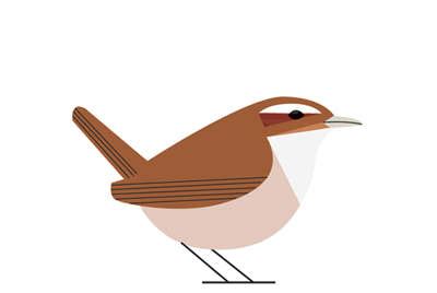 Carolina Wren Drawing | Free download on ClipArtMag