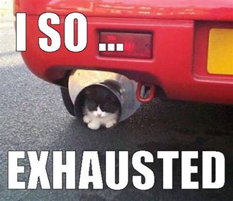 Exhausted Memes You Ll Find Way Too Funny Sayingimages