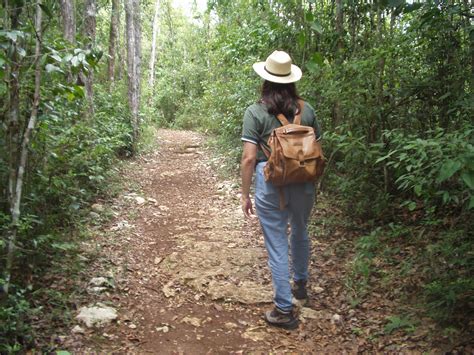 Tour Guide Debbies Tips To Find A Professional Tour Guide