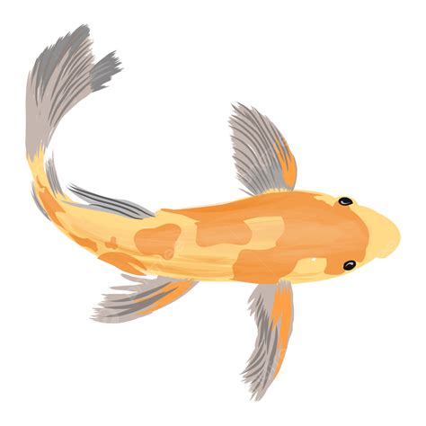 Ilustración De Pez Koi Naranja PNG Pez Carpa Pez Animal PNG y