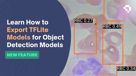 Learn How To Export TFLite Models For Object Detection Models