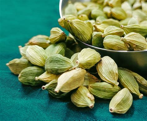 O Que É Cardamomo E Para Que Serve - Cardamomo: conheça 4 benefícios para sua saúde