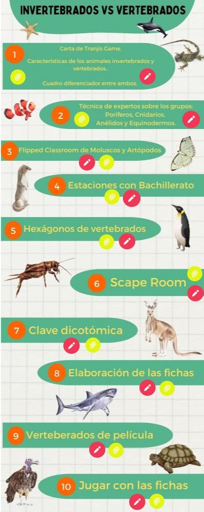 invertebrados  vertebrados genially