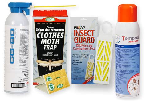 Bug Traps For Carpet Beetles - Carpet Vidalondon