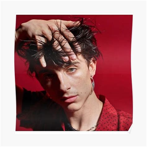 Timothee Chalamet Photoshoot Premium Matte Vertical Poster sold by ...