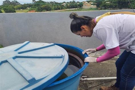 Defensoria V Falha Na Preven O A Dengue E Cobra Medidas A Cidades