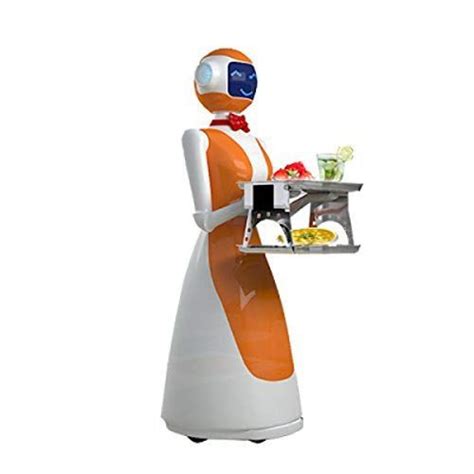 AI Humanoid Intelligent Robots Restaurant Waitress Food delivery Robot ...