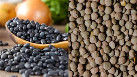 Black Beans vs Lentils: How Do They Compare? - Holy Peas