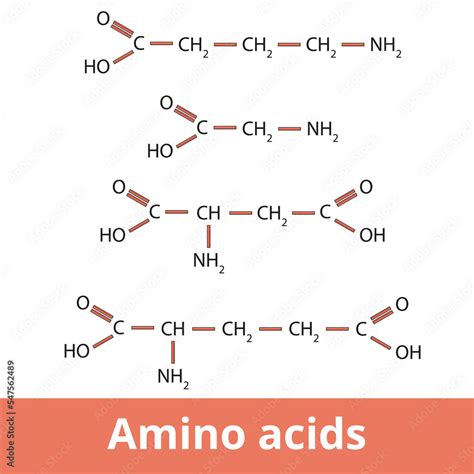 Amino Acids Chemical Structure Of One Of The Neurotransmitters Group