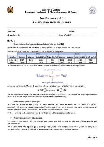 Memoria Practicas Completas Ingles Nota Pdf