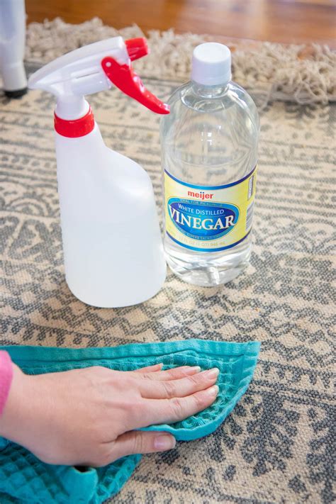 Vinegar And Water Carpet Cleaner Solution - Carpet Vidalondon