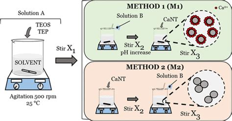 Bioactive Glass Nanoparticles For Tissue Regeneration Acs Omega