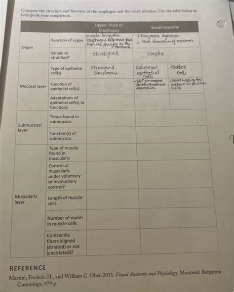 Solved Please Help Me Complete This Sheet Compare The Chegg