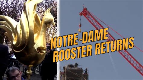 Notre Dame Rooster Back On Paris Cathedral S Spire As Renovation Enters