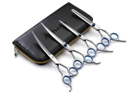 Best Poodle Clippers & Shears for Grooming