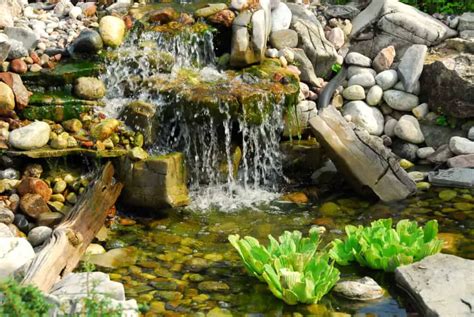 Should Koi Ponds Have Rocks Lets Find Out Pond Heaven