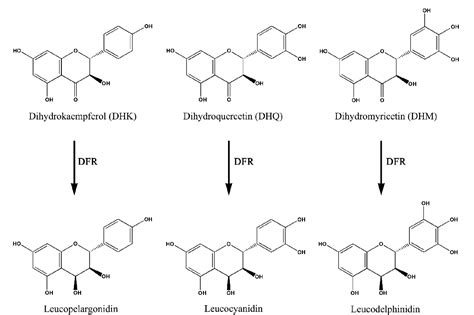 Figure From A Root Preferential Dfr Like Gene Encoding