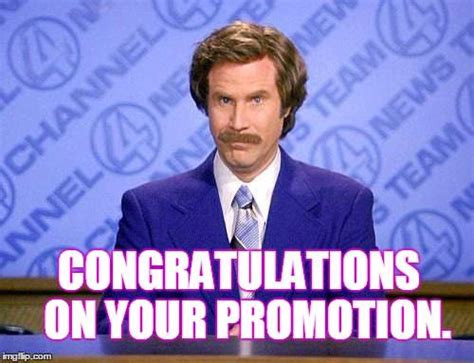 congratulations for promotion meme