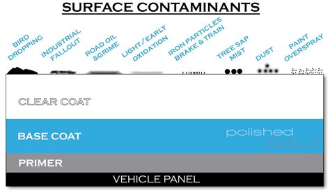 Auto Detail Contaminants Diagram Polished Detail