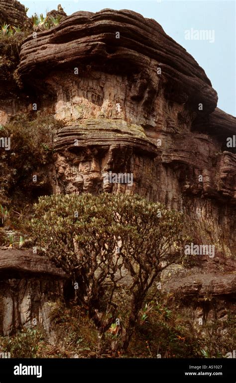 Erosion of top of Mount Roraima Gran Sabana South Venezuela Stock Photo ...