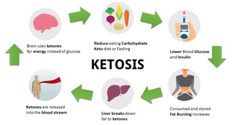 What Is Ketosis Causes Symptoms Benefits And Risks Livofy