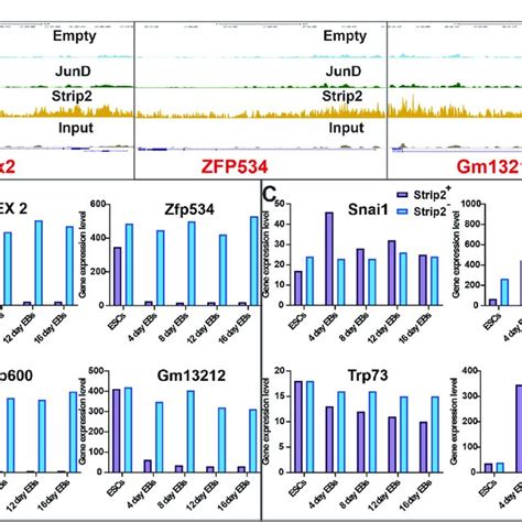 Strip2 Chip Seq Profiles Of Rex2 Zfp534 And Gm13212 Genes Their