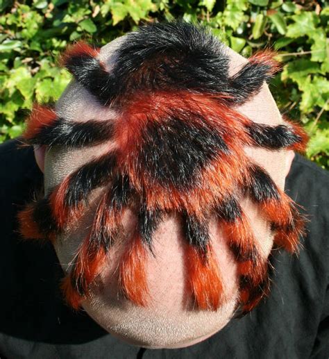 Tarantula Hair by Fireshaw on DeviantArt