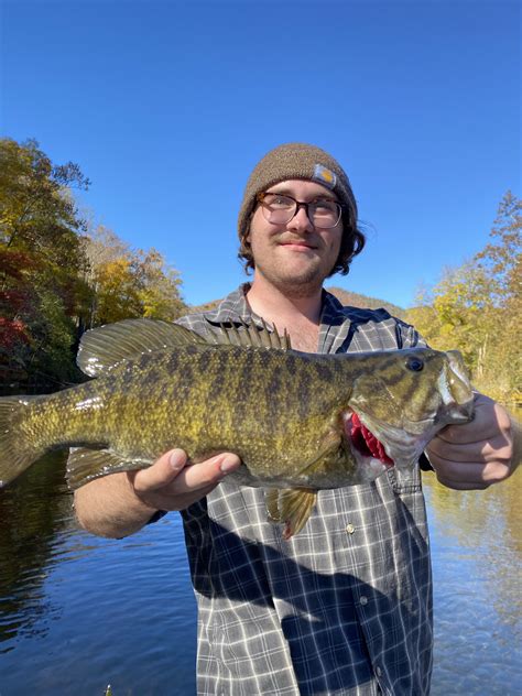 Trophy Smallmouth Bass Carolina Sportsman