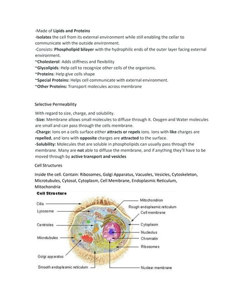 SOLUTION Ati Teas 7 Science Human Anatomy And Physiology Updated