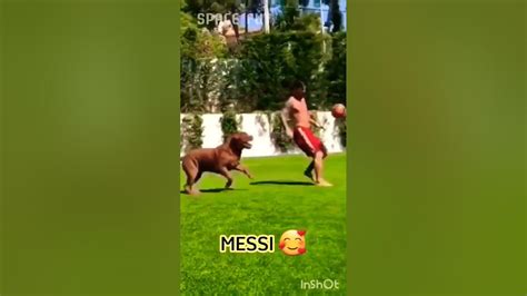 Messi vs CR7 dog - YouTube