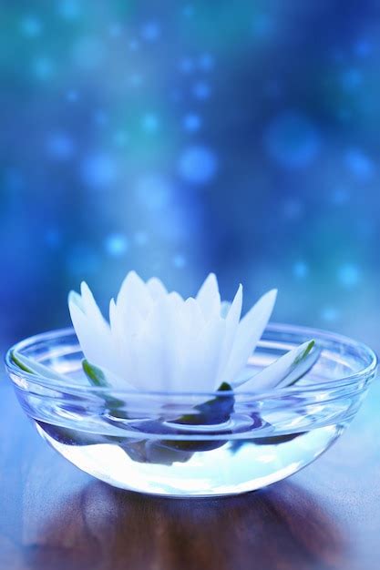 Premium Photo White Water Lilly Flower Over Blue