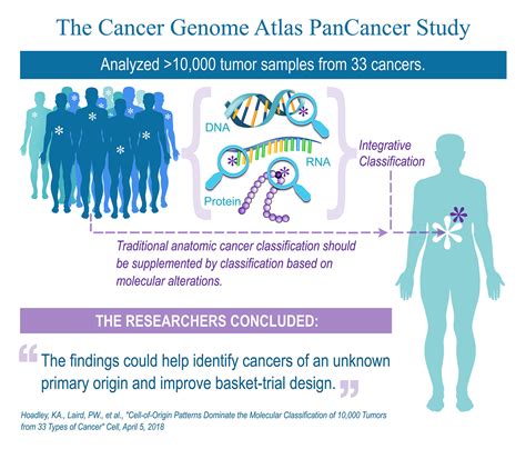 Genomic Analysis Of Thousands Of Tumors Supports New Cancer Classification