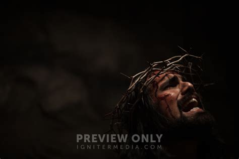 The Suffering Of Christ Jesus Crying In Pain While Wearing His Crown