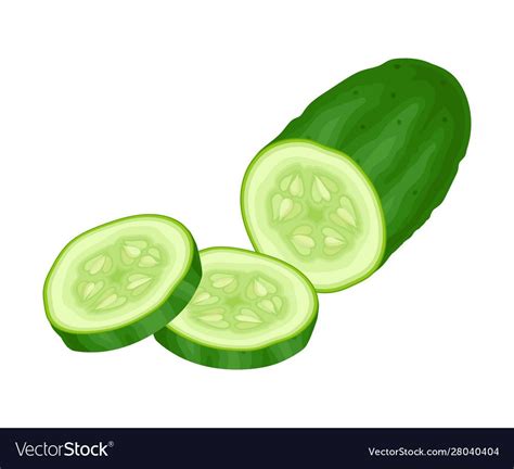 Fresh Sliced Cucumber Vector Element Green Juiced Vegetable Many