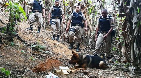 Após denúncias PM apreende seis barras de maconha A Notícia Online