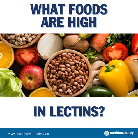 High Lectin Foods Nutrition With Judy Holistic Wellness