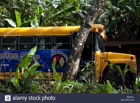 Yellow school bus in Costa Rica Stock Photo - Alamy