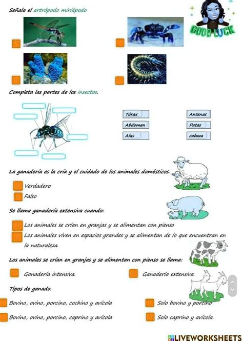 SOLVED me podrian ayudar porfavor Señala el artropodo miriápodo Guod