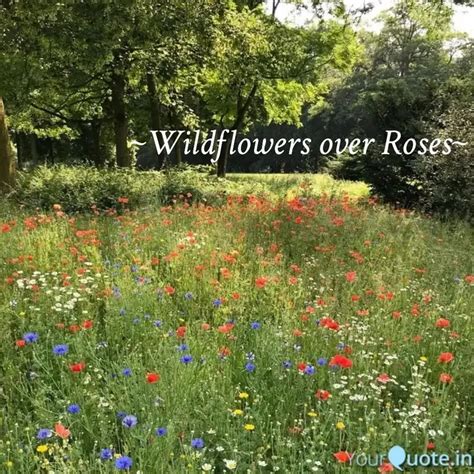 Wildflowers Over Roses Quotes Writings By Parishmita Roy