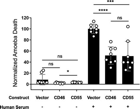 Entamoeba Histolytica Develops Resistance To Complement Deposition And Lysis After Acquisition