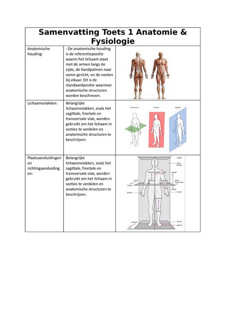 Samenvatting Toets 1 Anatomie Fysiologie Samenvatting Toets 1