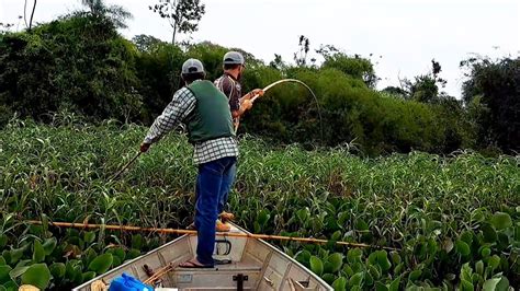 O CARDUME ESTAVA EMBAIXO DA GENTE ERA UMA ATRÁS DA OUTRA E TODAS