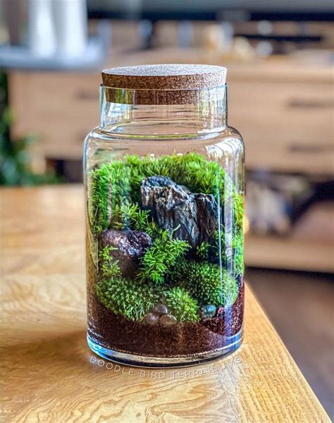 A Jar Filled With Moss And Rocks On Top Of A Wooden Table