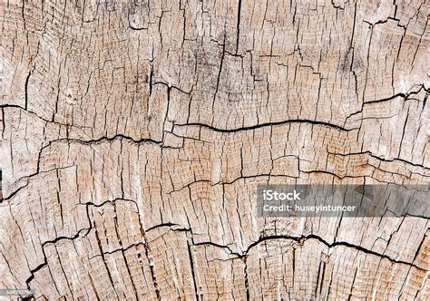 Log Texture Background Stock Photo - Download Image Now - Aging Process ...