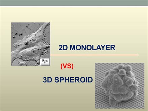 Cell culture technologies | PPT | Free Download