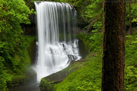 See Ten Stunning Waterfalls On This Beautiful Trail In Oregon | That ...